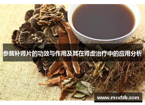 参茸补肾片的功效与作用及其在肾虚治疗中的应用分析
