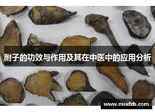 附子的功效与作用及其在中医中的应用分析