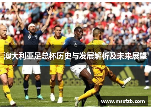 澳大利亚足总杯历史与发展解析及未来展望